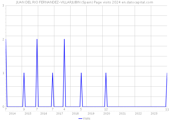 JUAN DEL RIO FERNANDEZ-VILLARJUBIN (Spain) Page visits 2024 
