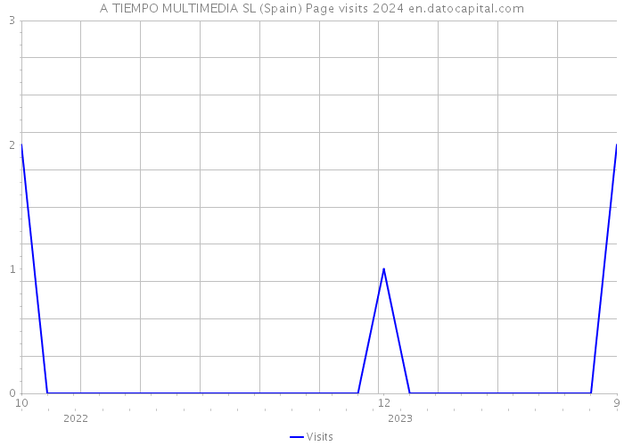 A TIEMPO MULTIMEDIA SL (Spain) Page visits 2024 