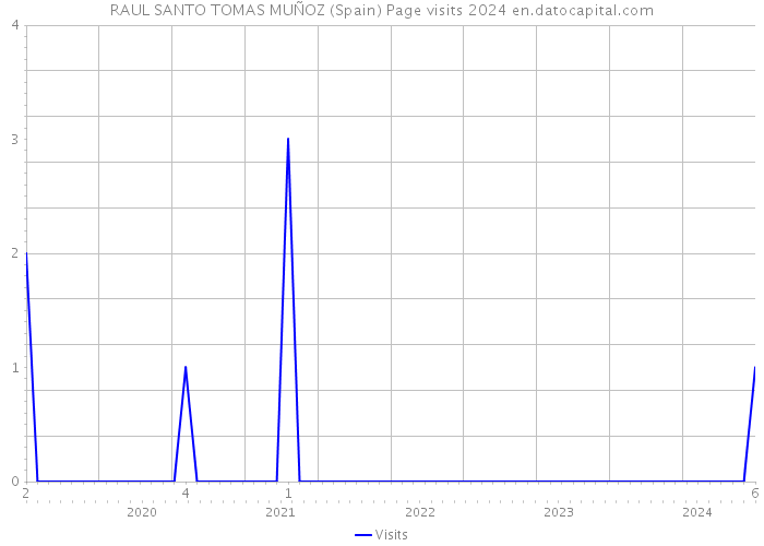 RAUL SANTO TOMAS MUÑOZ (Spain) Page visits 2024 