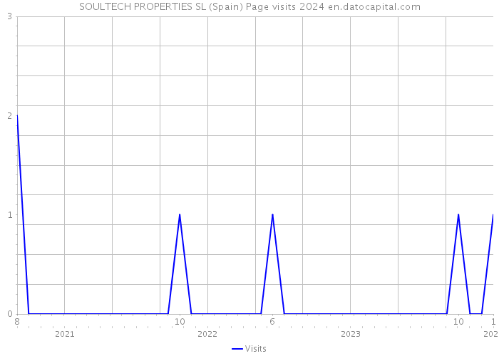 SOULTECH PROPERTIES SL (Spain) Page visits 2024 
