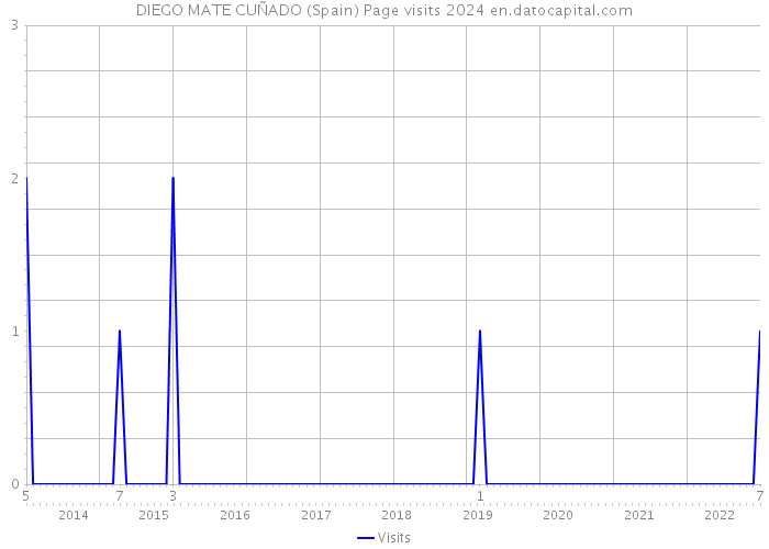 DIEGO MATE CUÑADO (Spain) Page visits 2024 