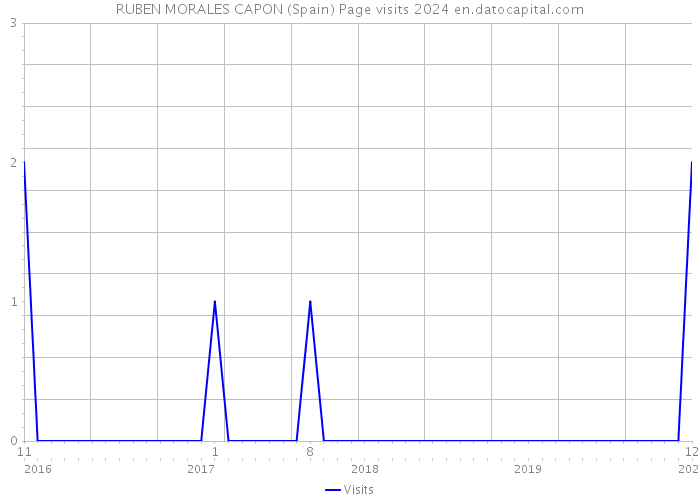 RUBEN MORALES CAPON (Spain) Page visits 2024 