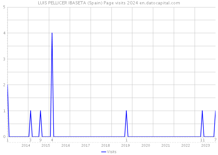 LUIS PELLICER IBASETA (Spain) Page visits 2024 