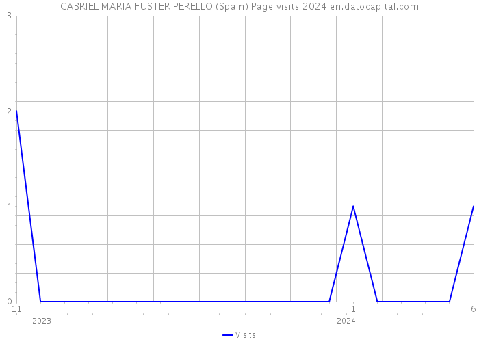 GABRIEL MARIA FUSTER PERELLO (Spain) Page visits 2024 