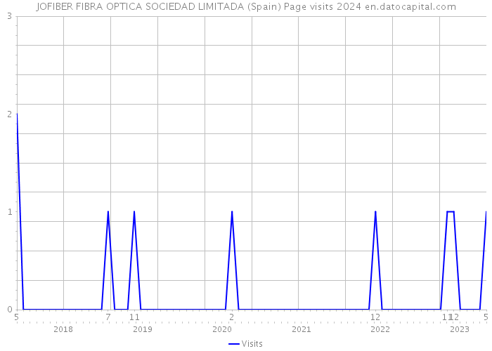 JOFIBER FIBRA OPTICA SOCIEDAD LIMITADA (Spain) Page visits 2024 