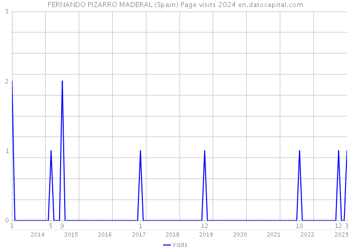 FERNANDO PIZARRO MADERAL (Spain) Page visits 2024 