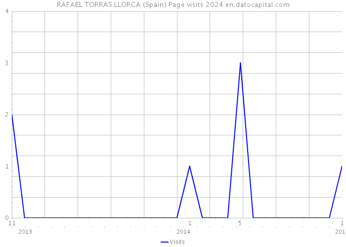 RAFAEL TORRAS LLORCA (Spain) Page visits 2024 