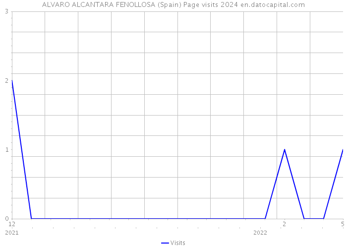 ALVARO ALCANTARA FENOLLOSA (Spain) Page visits 2024 