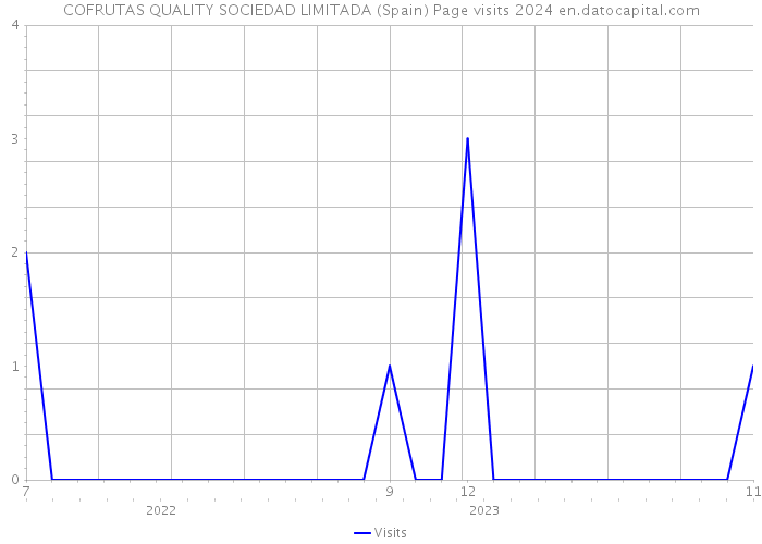 COFRUTAS QUALITY SOCIEDAD LIMITADA (Spain) Page visits 2024 