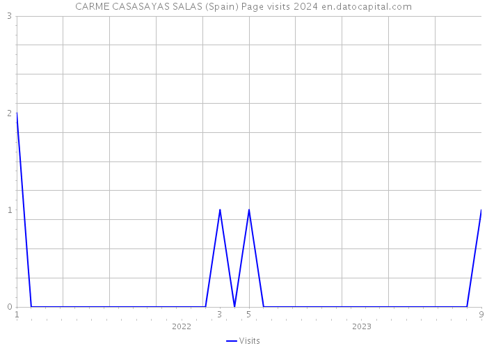 CARME CASASAYAS SALAS (Spain) Page visits 2024 