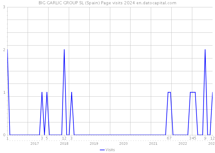 BIG GARLIC GROUP SL (Spain) Page visits 2024 