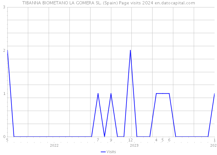 TIBANNA BIOMETANO LA GOMERA SL. (Spain) Page visits 2024 
