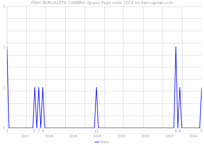 IÑAKI BURGALETA CAMBRA (Spain) Page visits 2024 
