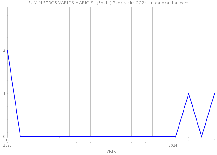 SUMINISTROS VARIOS MARIO SL (Spain) Page visits 2024 