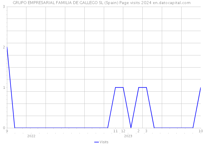 GRUPO EMPRESARIAL FAMILIA DE GALLEGO SL (Spain) Page visits 2024 