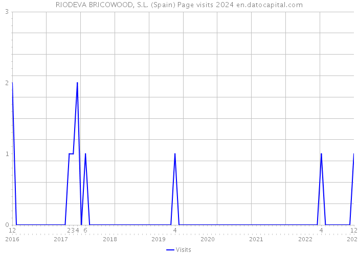 RIODEVA BRICOWOOD, S.L. (Spain) Page visits 2024 