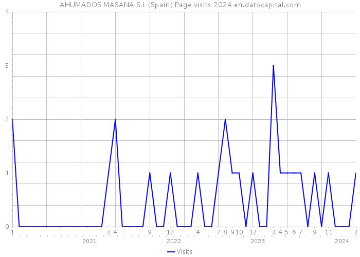 AHUMADOS MASANA S.L (Spain) Page visits 2024 