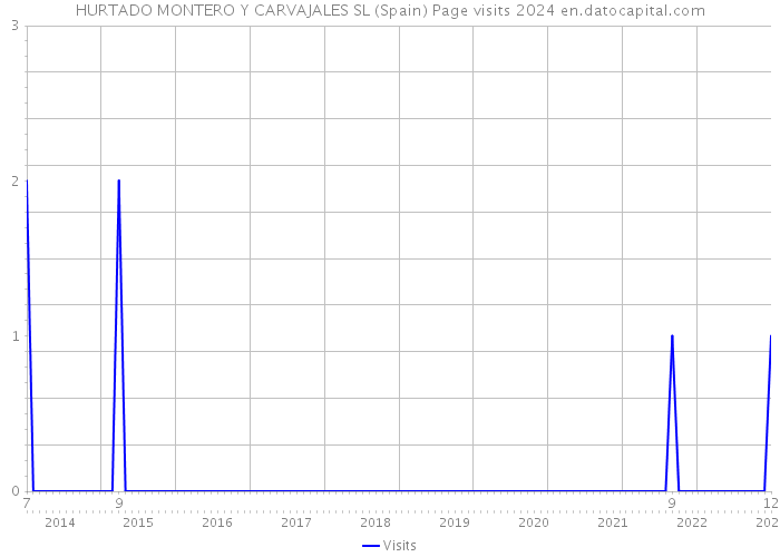 HURTADO MONTERO Y CARVAJALES SL (Spain) Page visits 2024 