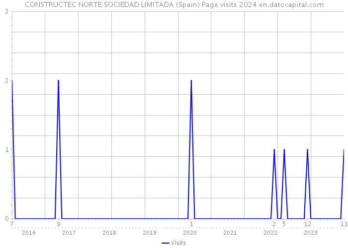 CONSTRUCTEC NORTE SOCIEDAD LIMITADA (Spain) Page visits 2024 