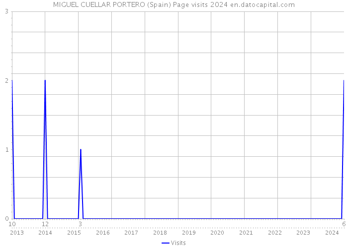 MIGUEL CUELLAR PORTERO (Spain) Page visits 2024 