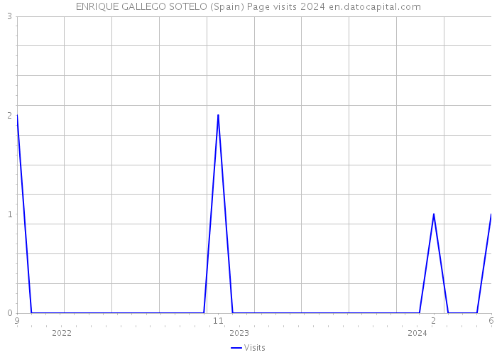 ENRIQUE GALLEGO SOTELO (Spain) Page visits 2024 