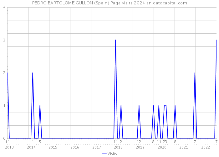 PEDRO BARTOLOME GULLON (Spain) Page visits 2024 
