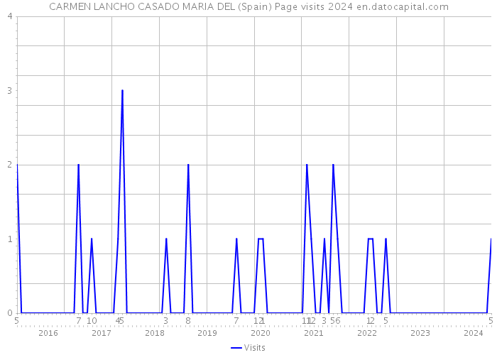 CARMEN LANCHO CASADO MARIA DEL (Spain) Page visits 2024 