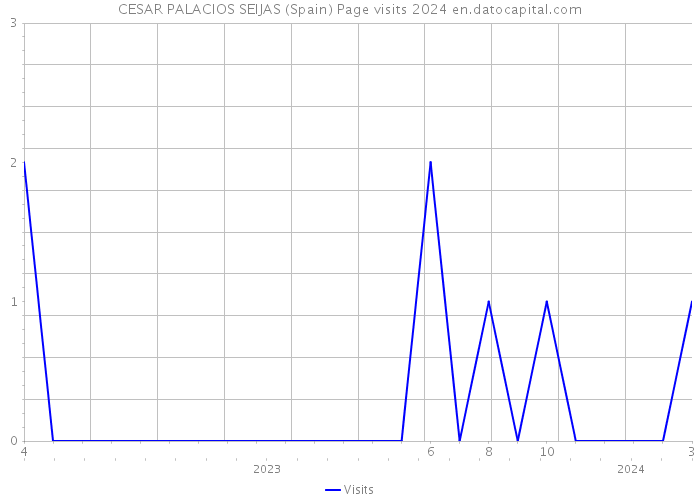 CESAR PALACIOS SEIJAS (Spain) Page visits 2024 