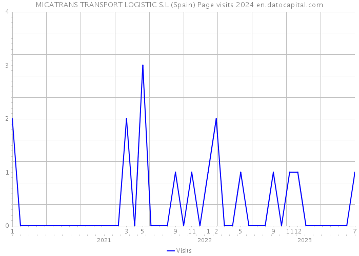 MICATRANS TRANSPORT LOGISTIC S.L (Spain) Page visits 2024 