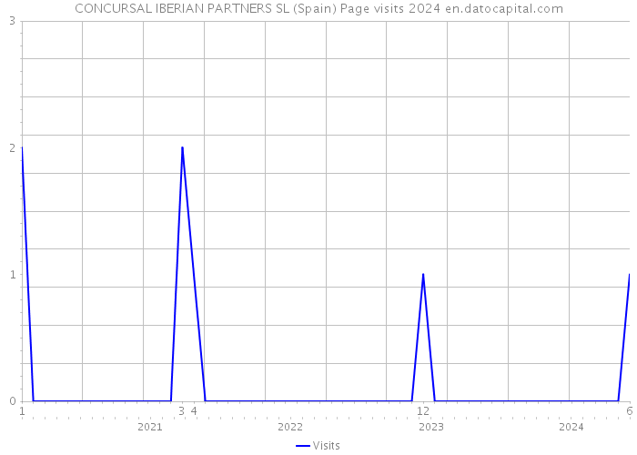 CONCURSAL IBERIAN PARTNERS SL (Spain) Page visits 2024 