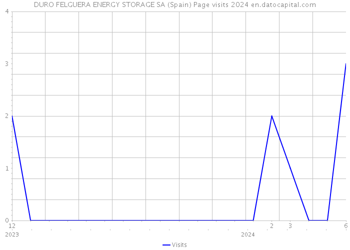 DURO FELGUERA ENERGY STORAGE SA (Spain) Page visits 2024 