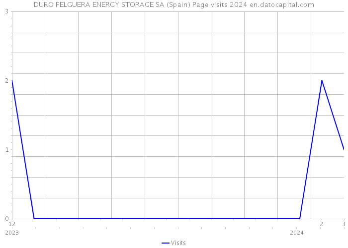 DURO FELGUERA ENERGY STORAGE SA (Spain) Page visits 2024 