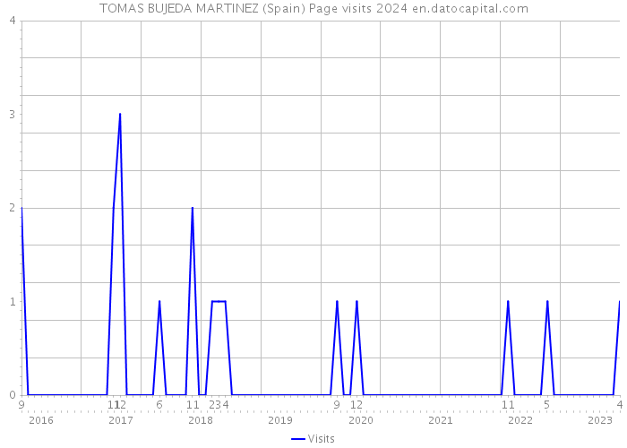 TOMAS BUJEDA MARTINEZ (Spain) Page visits 2024 