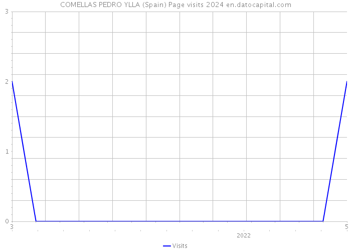 COMELLAS PEDRO YLLA (Spain) Page visits 2024 