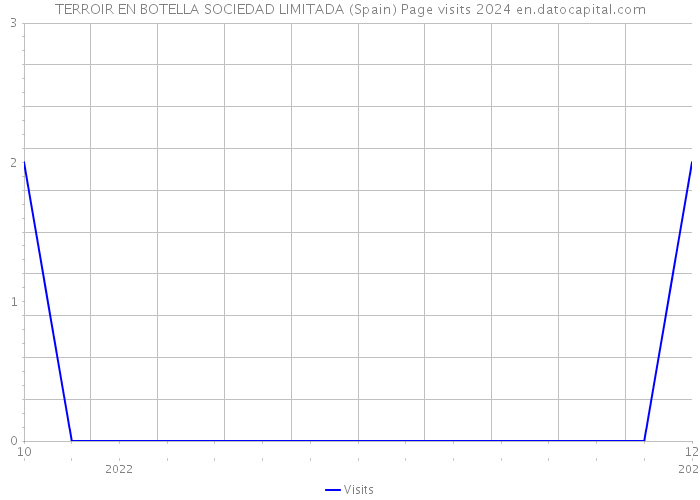TERROIR EN BOTELLA SOCIEDAD LIMITADA (Spain) Page visits 2024 