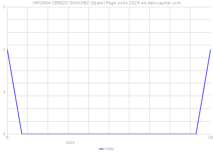 VIRGINIA CEREZO SANCHEZ (Spain) Page visits 2024 