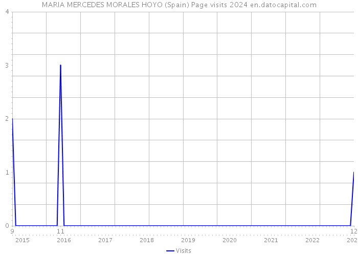 MARIA MERCEDES MORALES HOYO (Spain) Page visits 2024 