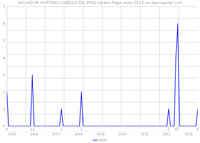 SALVADOR ANTONIO CABELLO DEL PINO (Spain) Page visits 2024 