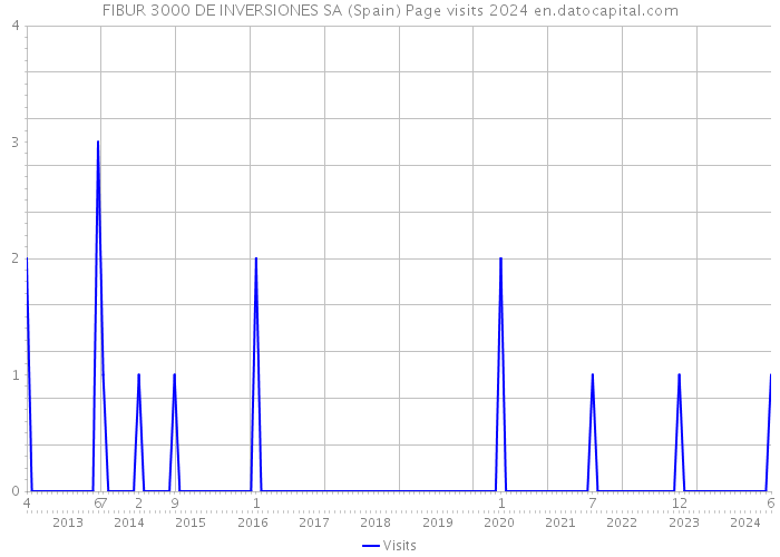 FIBUR 3000 DE INVERSIONES SA (Spain) Page visits 2024 