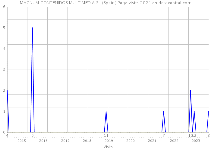 MAGNUM CONTENIDOS MULTIMEDIA SL (Spain) Page visits 2024 