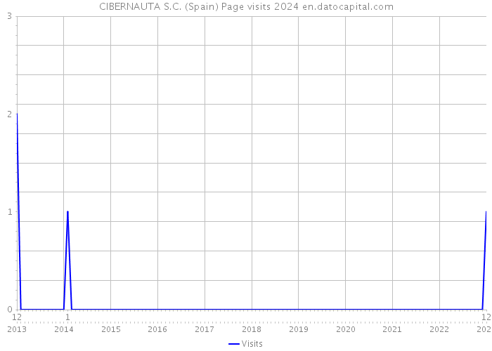 CIBERNAUTA S.C. (Spain) Page visits 2024 