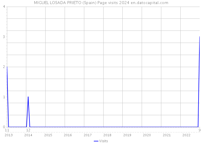 MIGUEL LOSADA PRIETO (Spain) Page visits 2024 