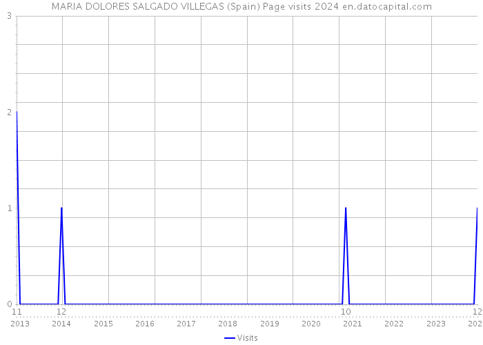 MARIA DOLORES SALGADO VILLEGAS (Spain) Page visits 2024 