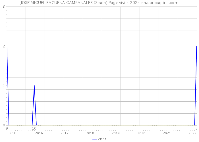 JOSE MIGUEL BAGUENA CAMPANALES (Spain) Page visits 2024 
