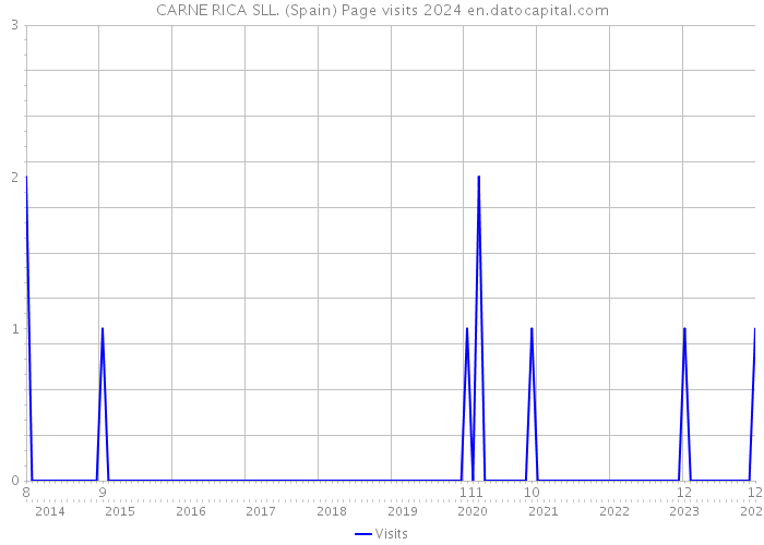 CARNE RICA SLL. (Spain) Page visits 2024 