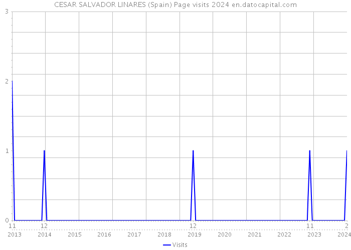 CESAR SALVADOR LINARES (Spain) Page visits 2024 