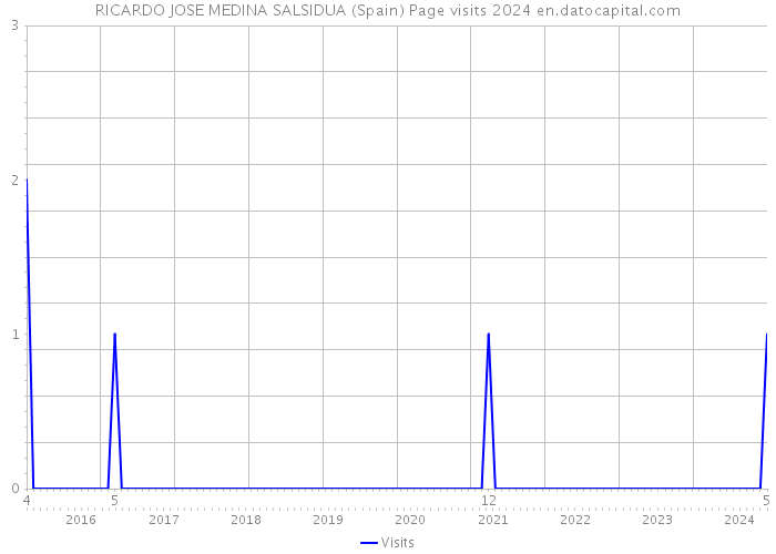 RICARDO JOSE MEDINA SALSIDUA (Spain) Page visits 2024 