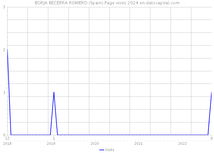 BORJA BECERRA ROMERO (Spain) Page visits 2024 