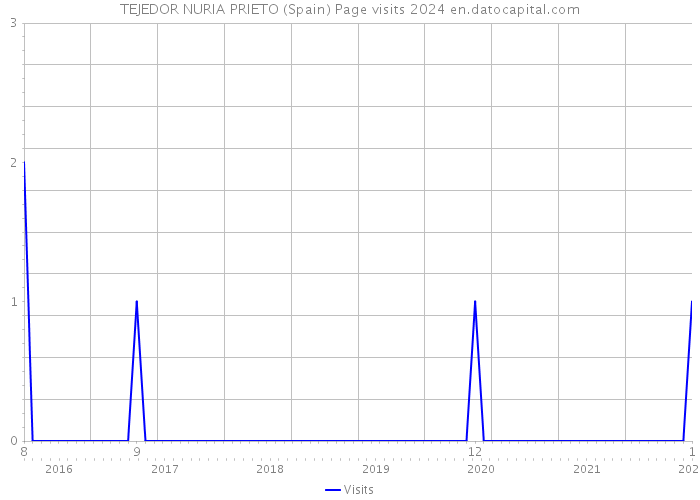 TEJEDOR NURIA PRIETO (Spain) Page visits 2024 