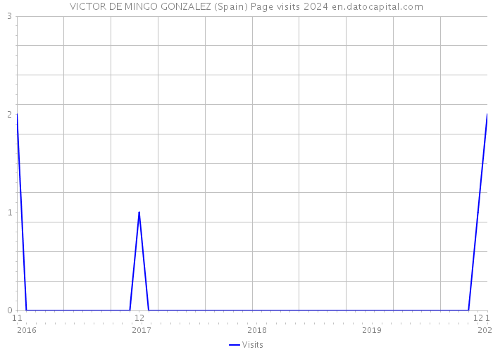 VICTOR DE MINGO GONZALEZ (Spain) Page visits 2024 